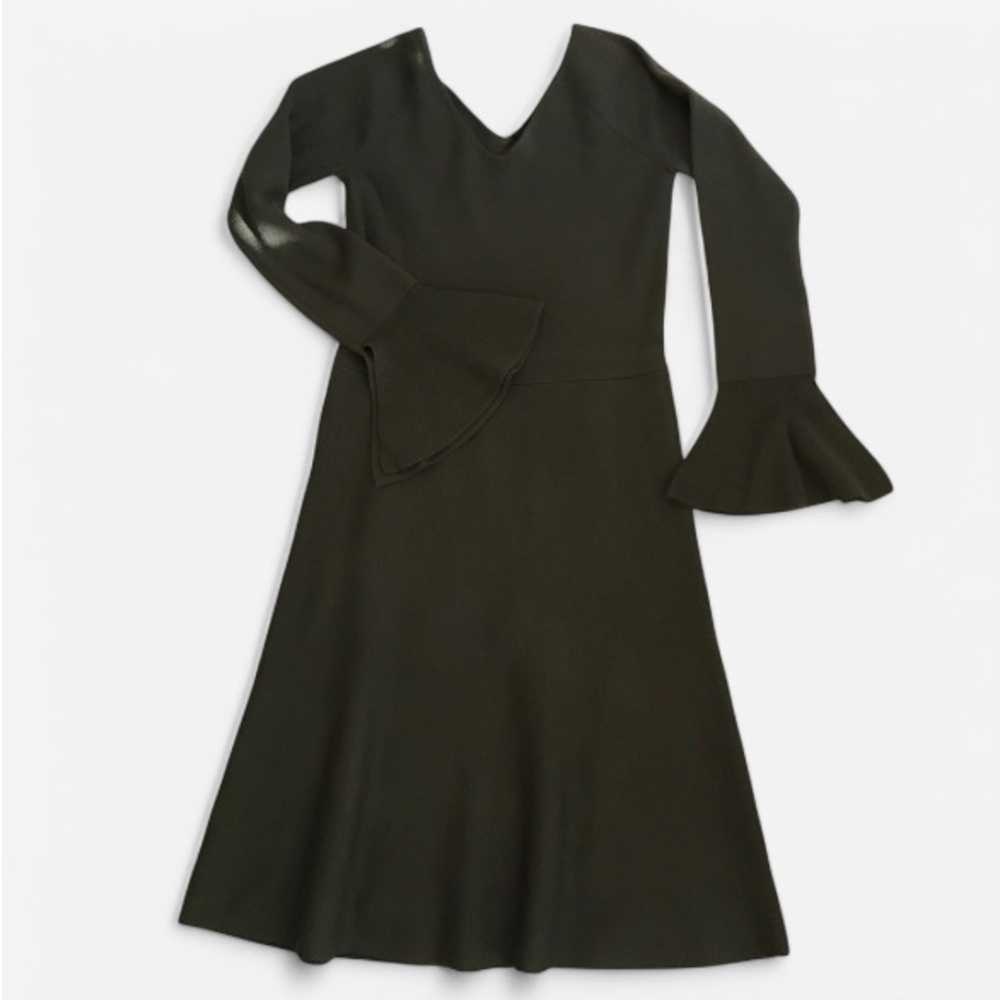 Elegant Olive Green Flared Sleeve Dress